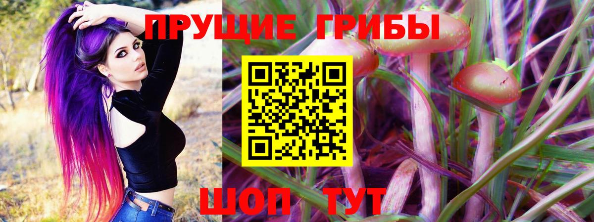 Галлюциногенные грибы GOLDEN TEACHER  Галлюциногенные грибы прущие грибы  где продают наркотики  Хабаровск  Вход с VPN 
