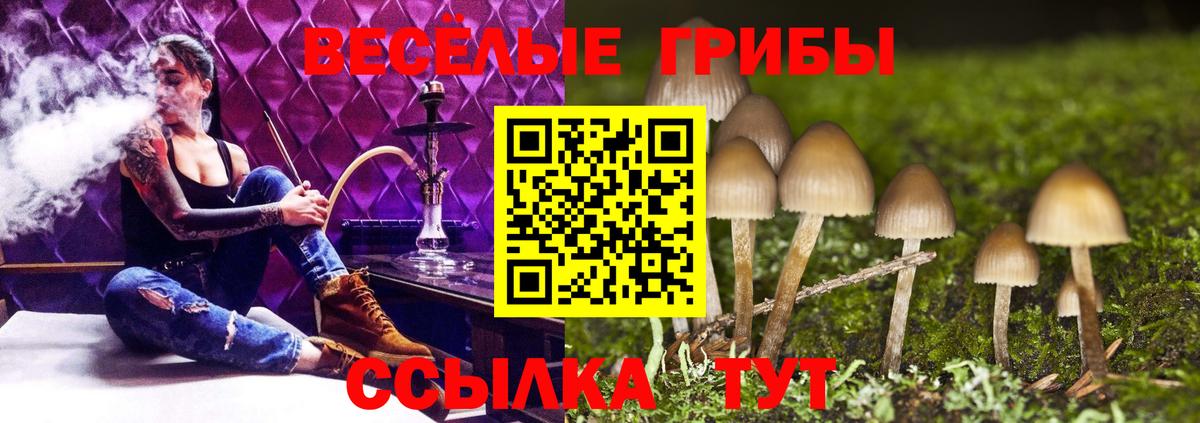 Галлюциногенные грибы Psilocybe Хабаровск